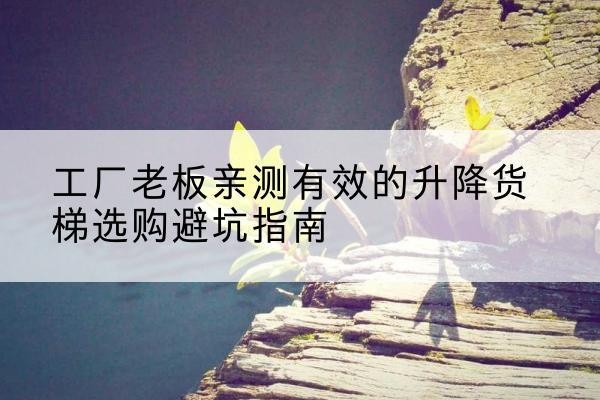 阆中升降货梯怎么选-工厂老板亲测有效的升降货梯选购避坑指南