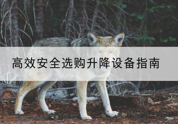 阆中升降货梯厂家推荐-*安全选购升降设备指南