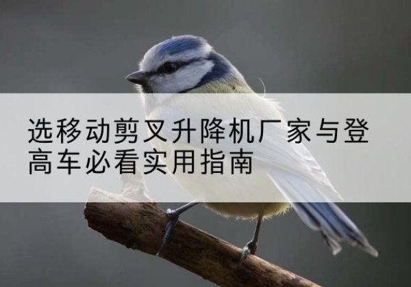 阆中电动升降机厂家-选移动剪叉升降机厂家与登高车必看实用指南