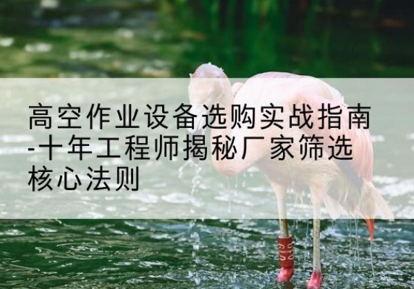 阆中剪叉式升降机厂家-高空作业设备选购实战指南-十年工程师揭秘厂家筛选核心法则