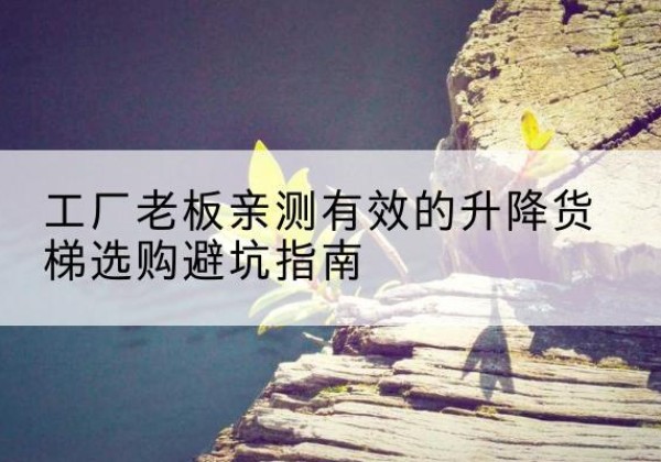 阆中升降货梯怎么选-工厂老板亲测有效的升降货梯选购避坑指南